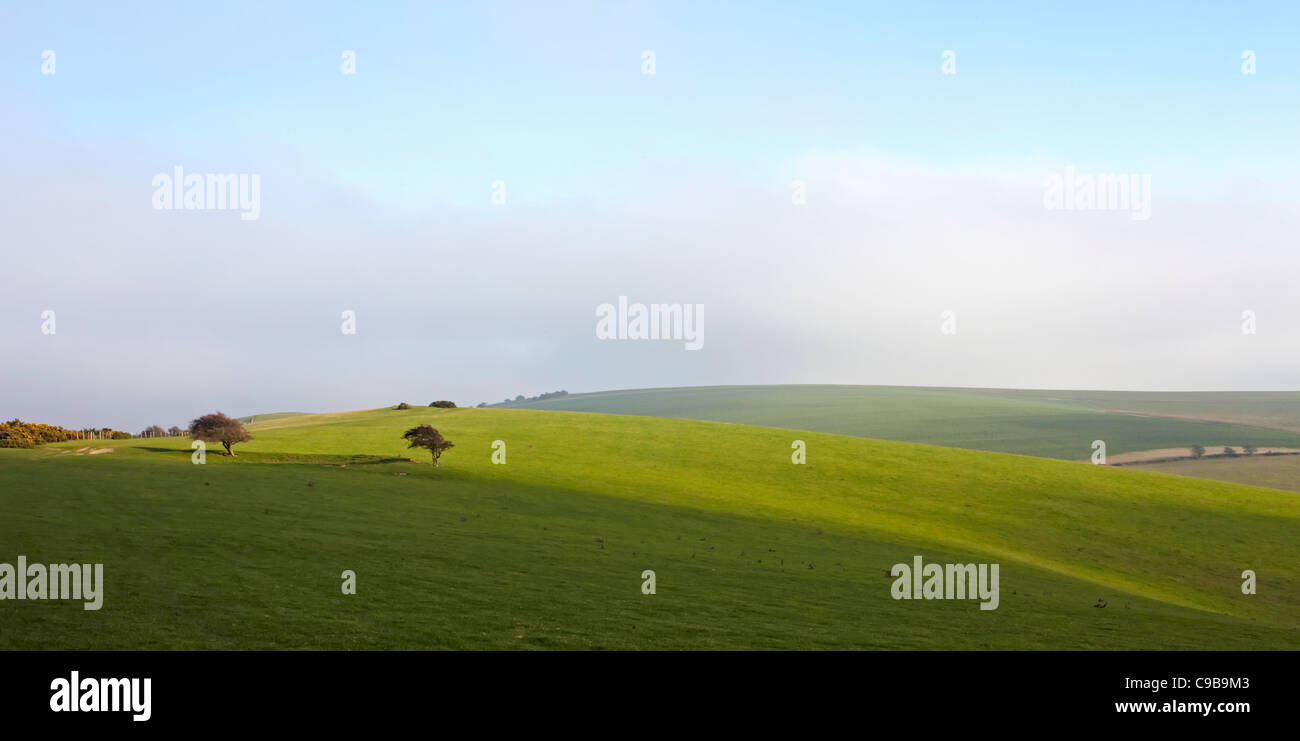 South Downs Way öffentlichen Fußweg winter Stockfoto