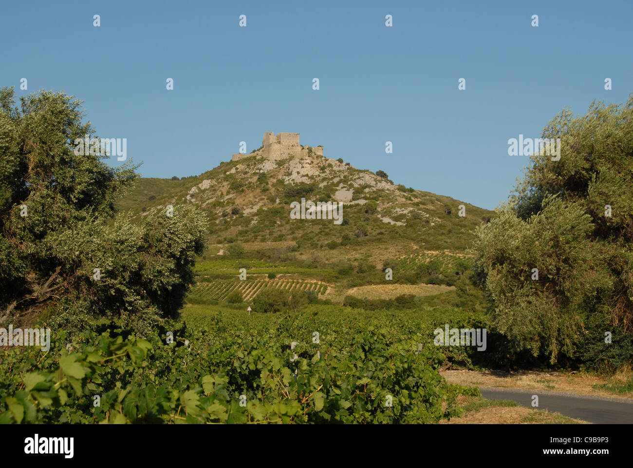 Château d ' Aguilar, Adler Burg, Hochburg der Katharer-Sekte in den Corbières Bergen in der Nähe von Tuchan, Aude, Languedoc Stockfoto