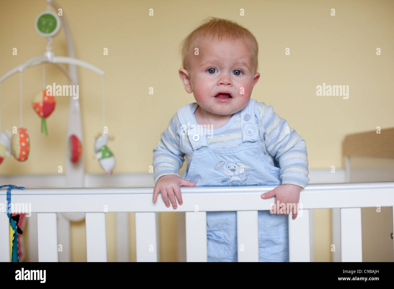 11 Monate jungen im Kinderbett. Foto: Jeff Gilbert Stockfoto