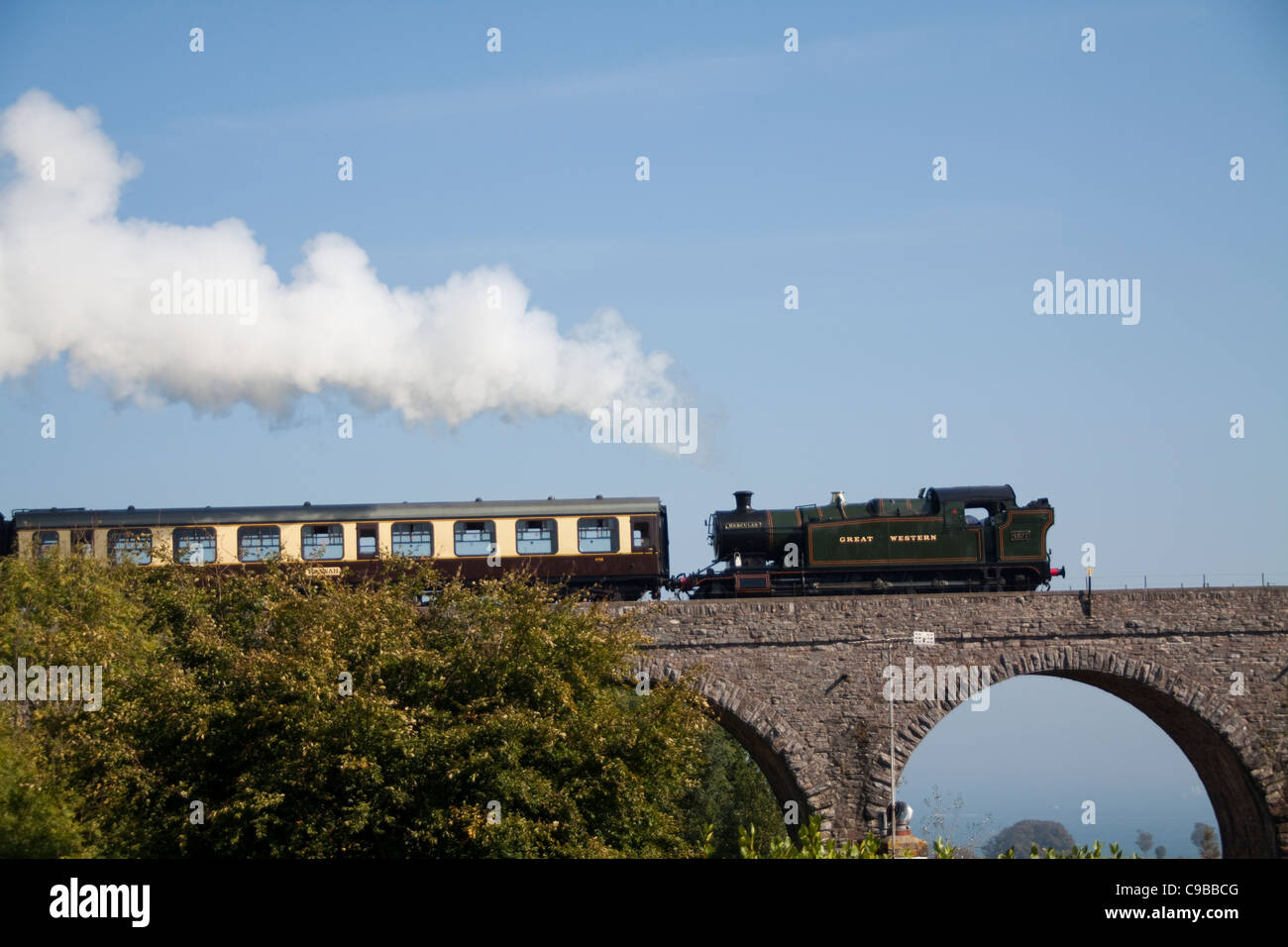 Dampfzug über Hookhills Viadukt Stockfoto