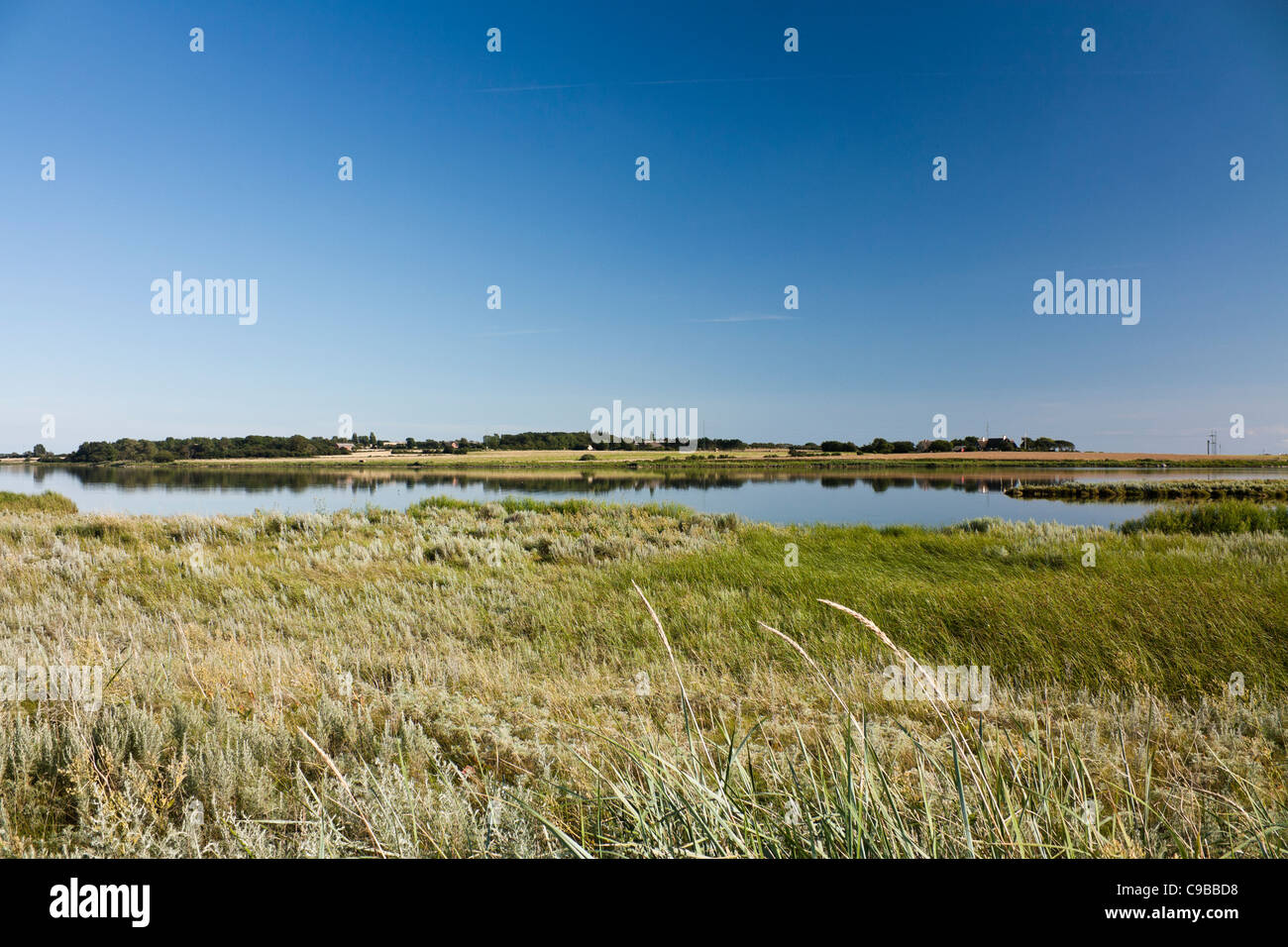 Landschaft auf Langeland bei Ristinge, Dänemark, Natur mieten Stockfoto