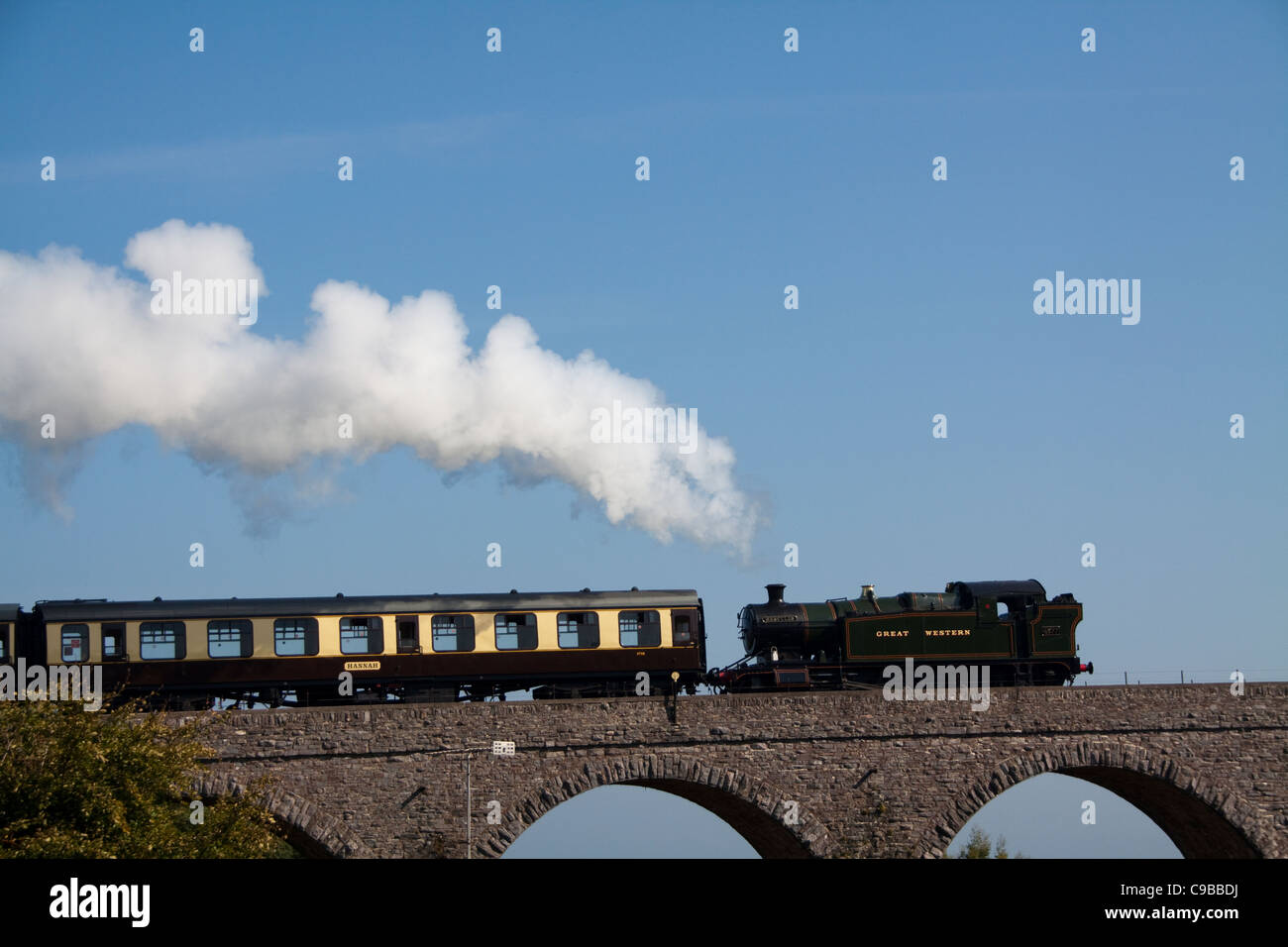 Dampfzug über Hookhills Viadukt Stockfoto