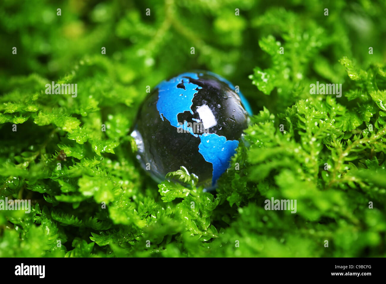 Erde-Marmor im Werk Stockfoto