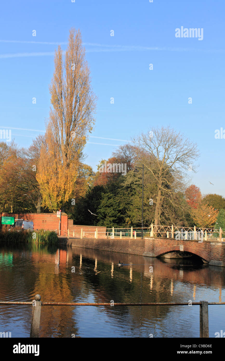 Carshalton Teiche Sutton South London England UK Stockfoto