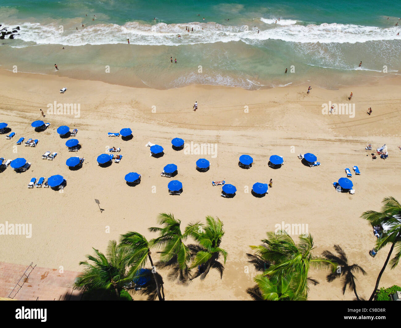 High Angle View of ein Strand mit Sonnenschirme und Palmen, Condado Beach, San Juan, Puerto Rico Stockfoto