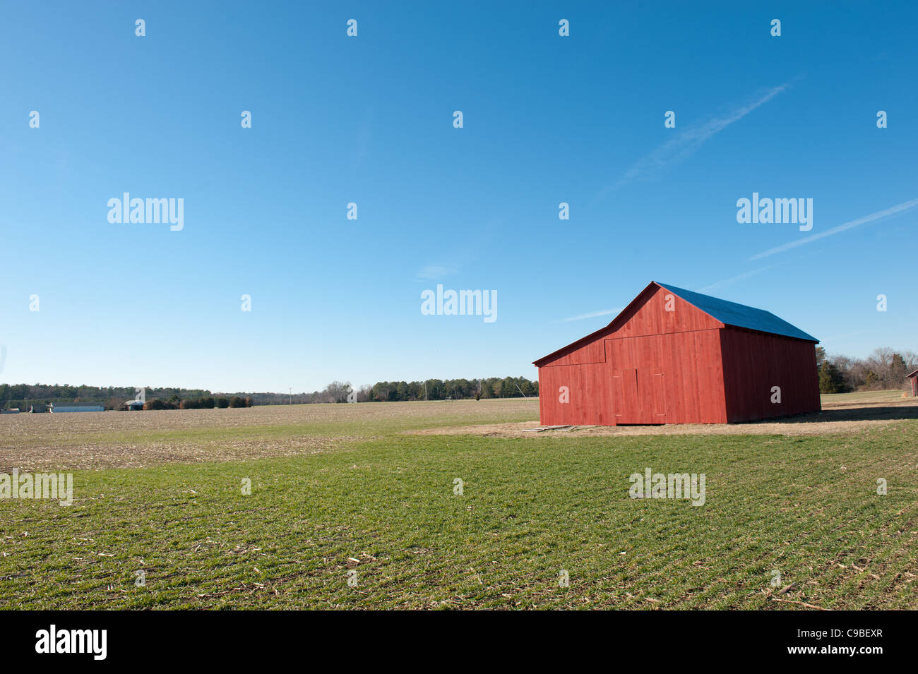 Bean Tabak Scheune in Southern Maryland Stockfoto