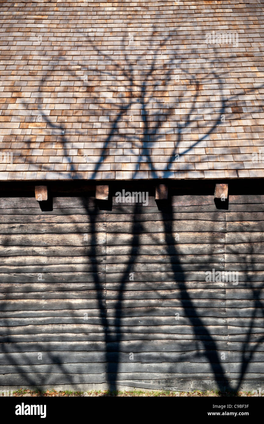 Schatten von Bäumen auf einem verwitterten Blockhaus Str. Marys City Maryland Stockfoto