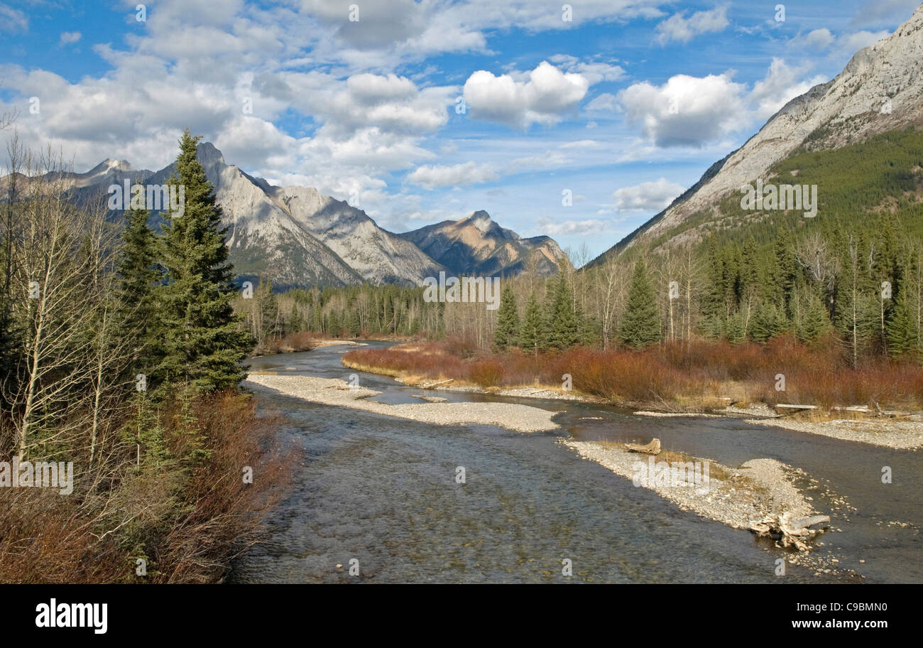 Kanada, Alberta, Kananaskis, Kananaskis River in Evan Thomas Recreation Area, weißen geschwollene Wolken am blauen Himmel. Stockfoto