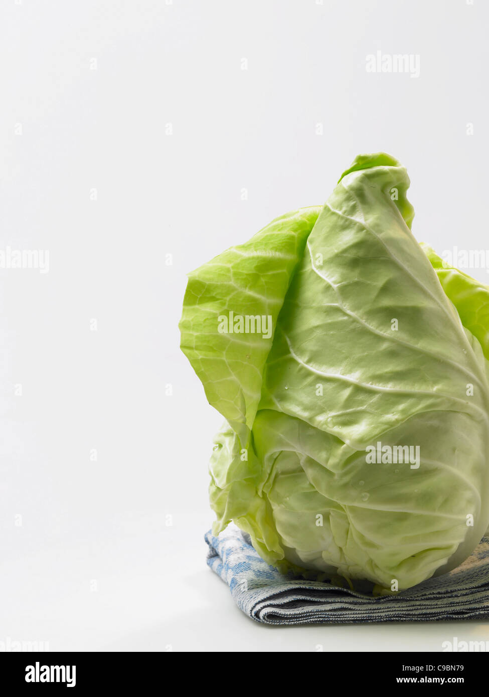 Spitz Kohl auf weißem Hintergrund Stockfoto