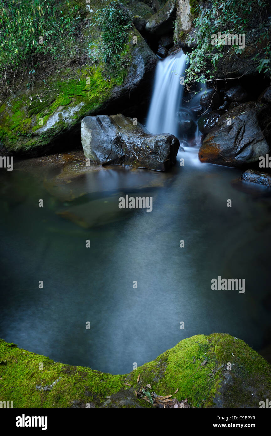 Fließenden Wasserfall und klare Pool, Injesuthi Abschnitt, Drakensberg Ukhahlamba Nationalpark, Kwazulu-Natal, Südafrika Stockfoto
