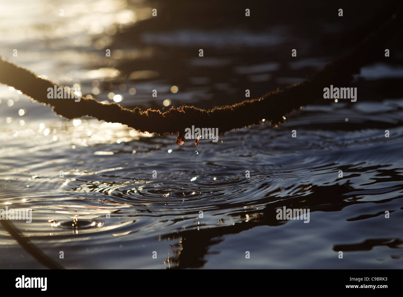 Befestigungsleine schwebt über goldene Wasser in St. Leu Harbour, Insel La Réunion Stockfoto