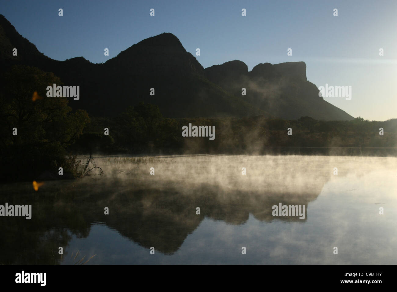 Entabeni Safari Conservancy, Waterberg Mountains, Limpopo Provinz, Südafrika Stockfoto