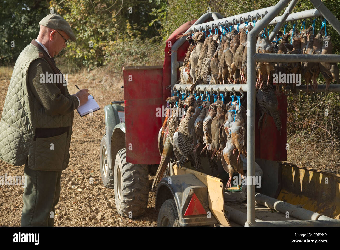 Collecting up shot Red legged Partridges and pheasants Stockfoto