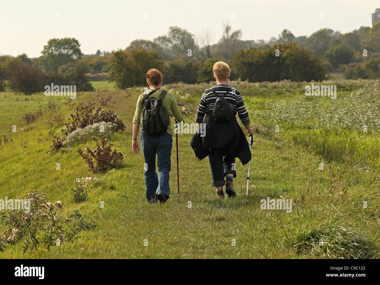 Fuß der Arun Weg den Fluss Arun West Sussex Stockfoto