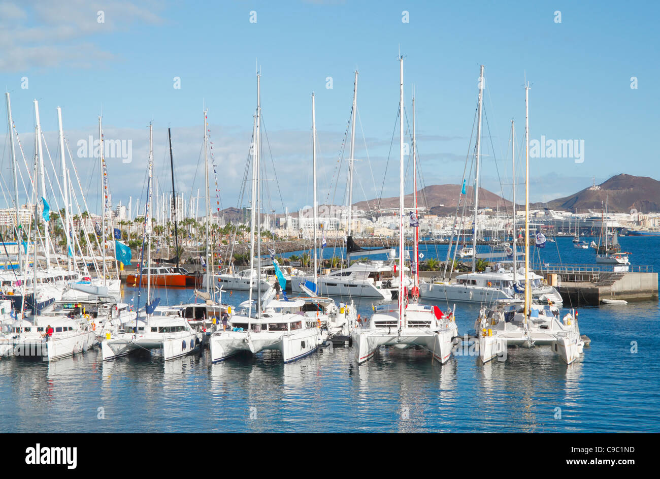 Katamarane in Muelle Deportivo Marina in Las Palmas, Gran Canaria, Kanarische Inseln, Spanien Stockfoto