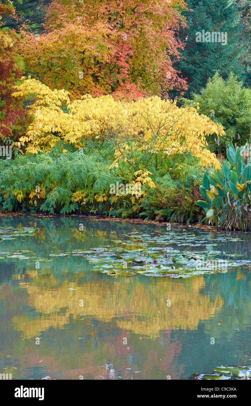 Herbstlichen Szenen und Farbe in The Sir Harold Hiller Gardens in der Nähe von Winchester, Hampshire, England Stockfoto