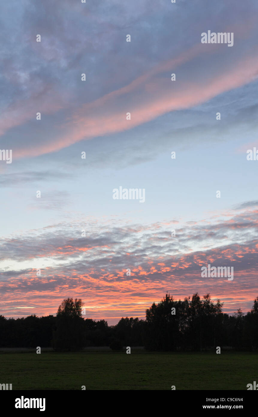 Sonnenuntergang am Naturschutzgebiet karower gesehen, Berlin, Deutschland Stockfoto