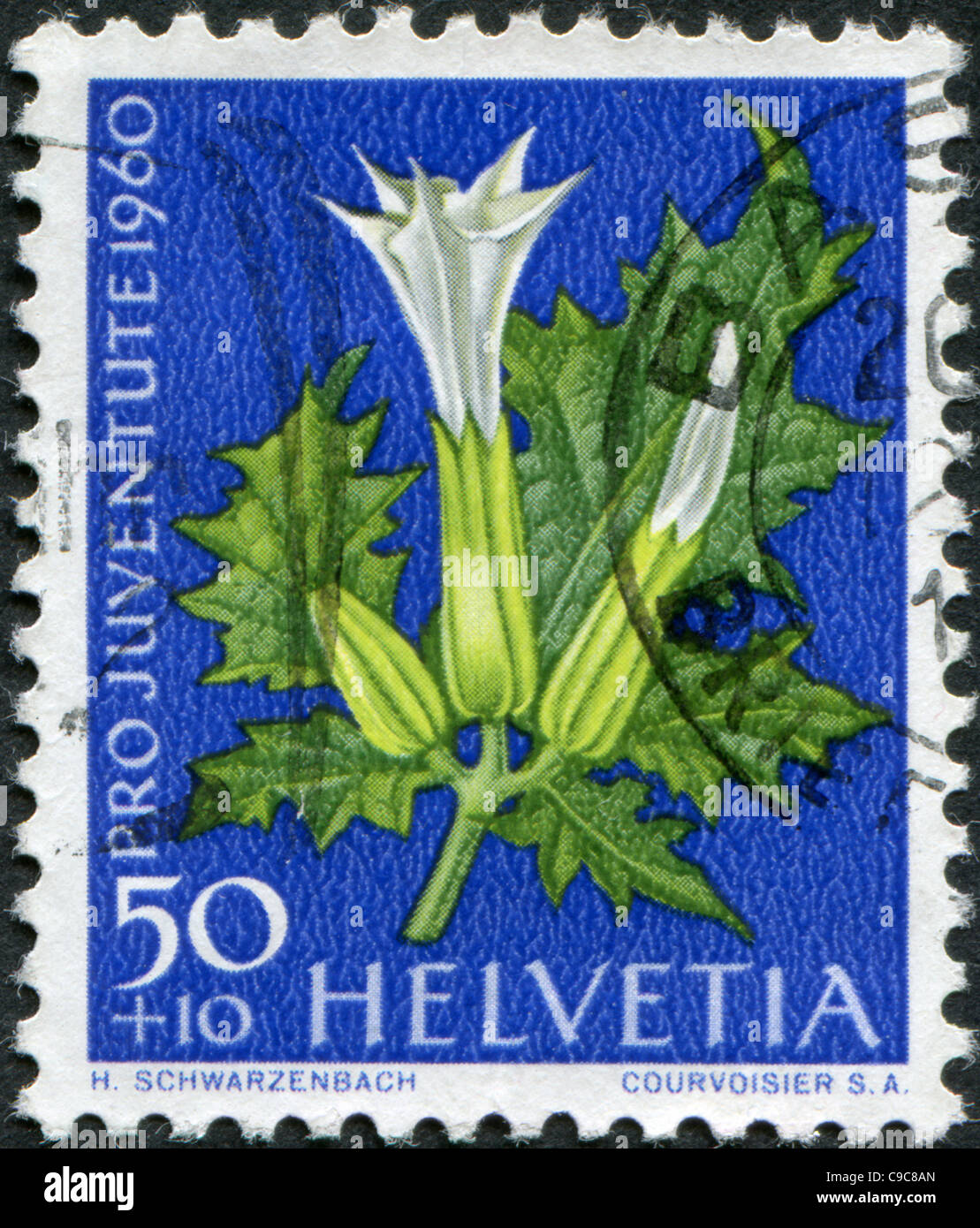 Der Schweiz 1960: Eine Briefmarke gedruckt in der Schweiz, zeigt Blüte Datura stramonium Stockfoto