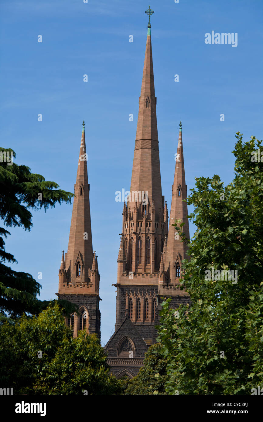 St. / St. Patricks Kathedrale in Melbourne Australien - römisch-katholische Erzdiözese von Melbourne Stockfoto