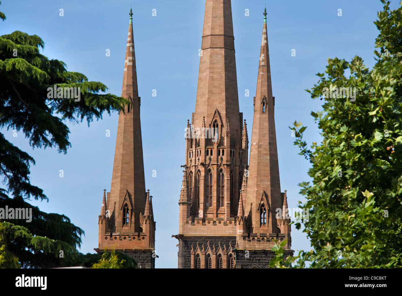 St. / St. Patricks Kathedrale in Melbourne Australien - römisch-katholische Erzdiözese von Melbourne Stockfoto