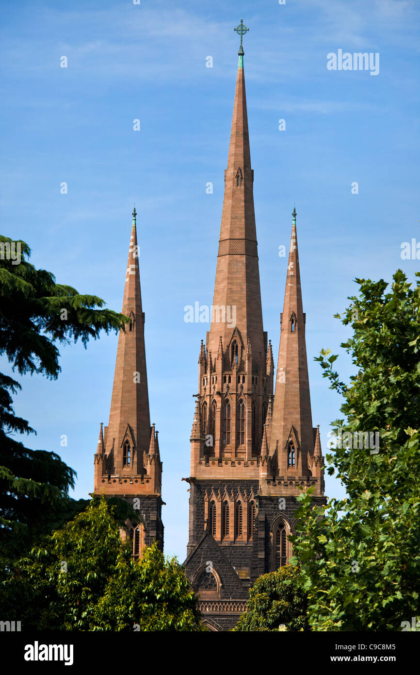 St. / St. Patricks Kathedrale in Melbourne Australien - römisch-katholische Erzdiözese von Melbourne Stockfoto