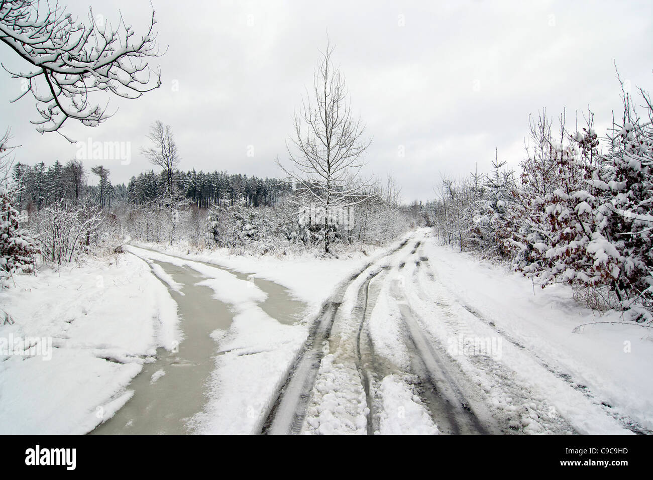 Schuss der verschneiten Winterlandschaft mit Feldweg Stockfoto