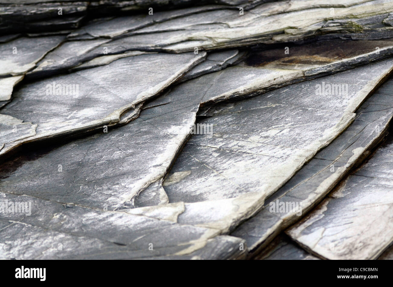 Felsformation detail Godrevy Cornwall UK Stockfoto