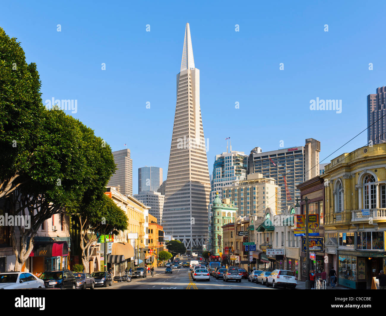 TransAmerica Pyramid, San Francisco Stockfoto