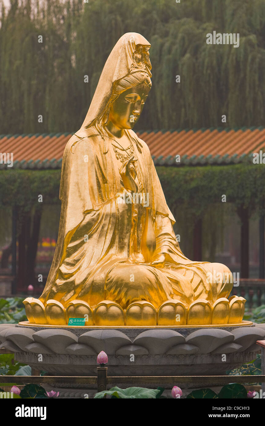 CHI LEI Dorf, PAN YU, Provinz GUANGDONG, CHINA - Golden Bhuddha Statue im Baomo Park. Stockfoto