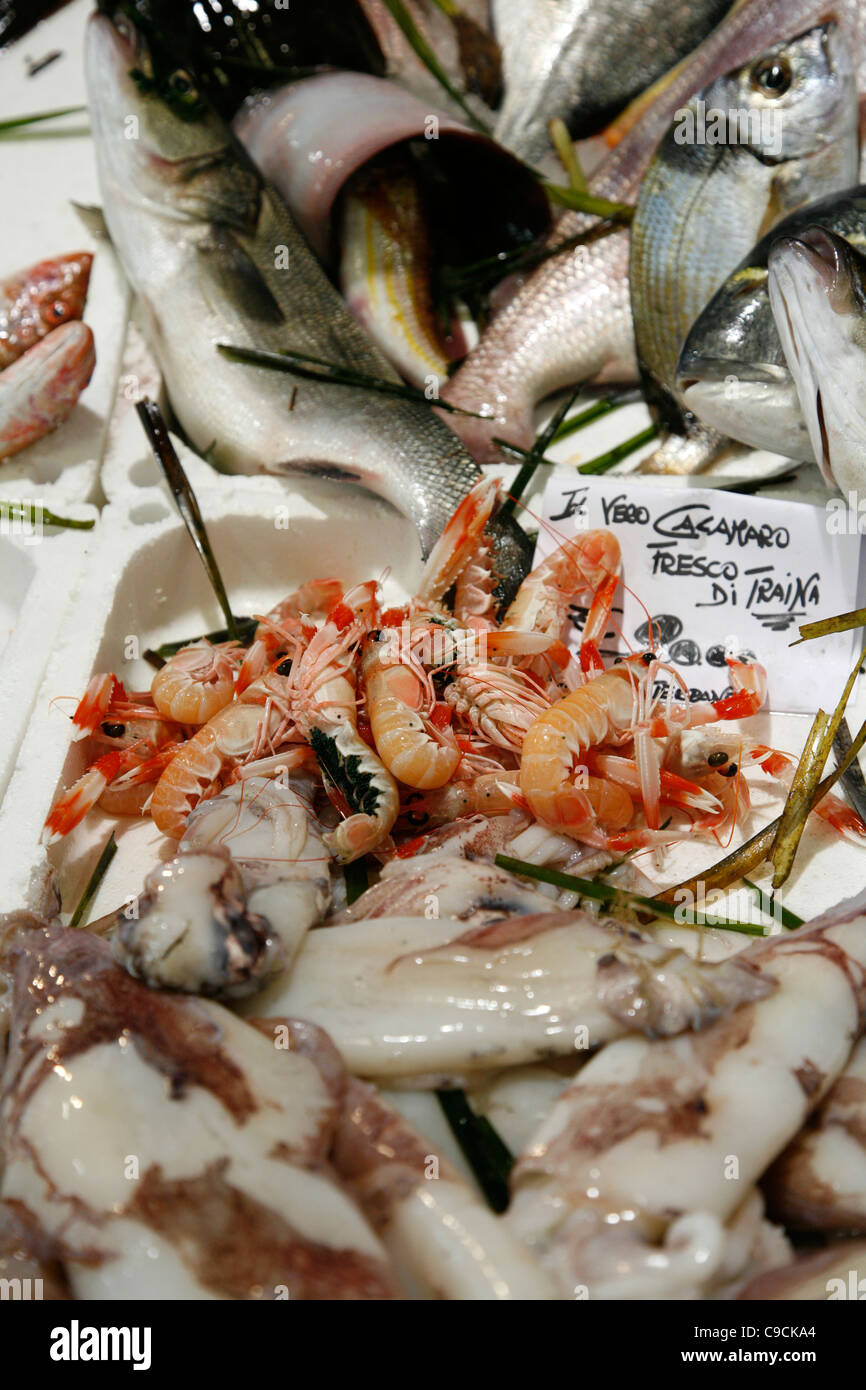Fisch an San Benedetto Markt, Cagliari, Sardinien, Italien. Stockfoto