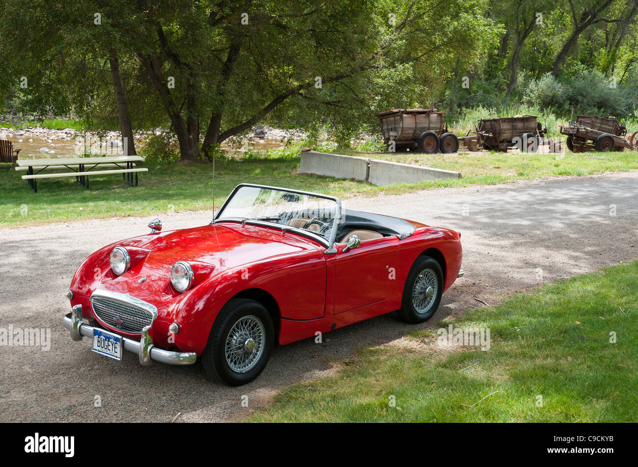 Austin Healey Sprite im Obstgarten Valley Farms und Black Bridge Winery, Paonia, Colorado. Stockfoto