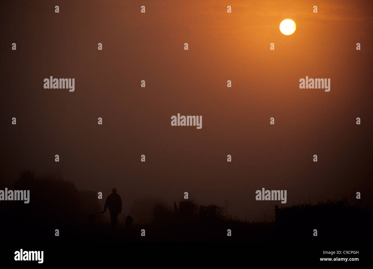 Ein Mann, der seinen Hund an einem nebligen Morgen in der South Downs National Park, East Sussex, England. Stockfoto