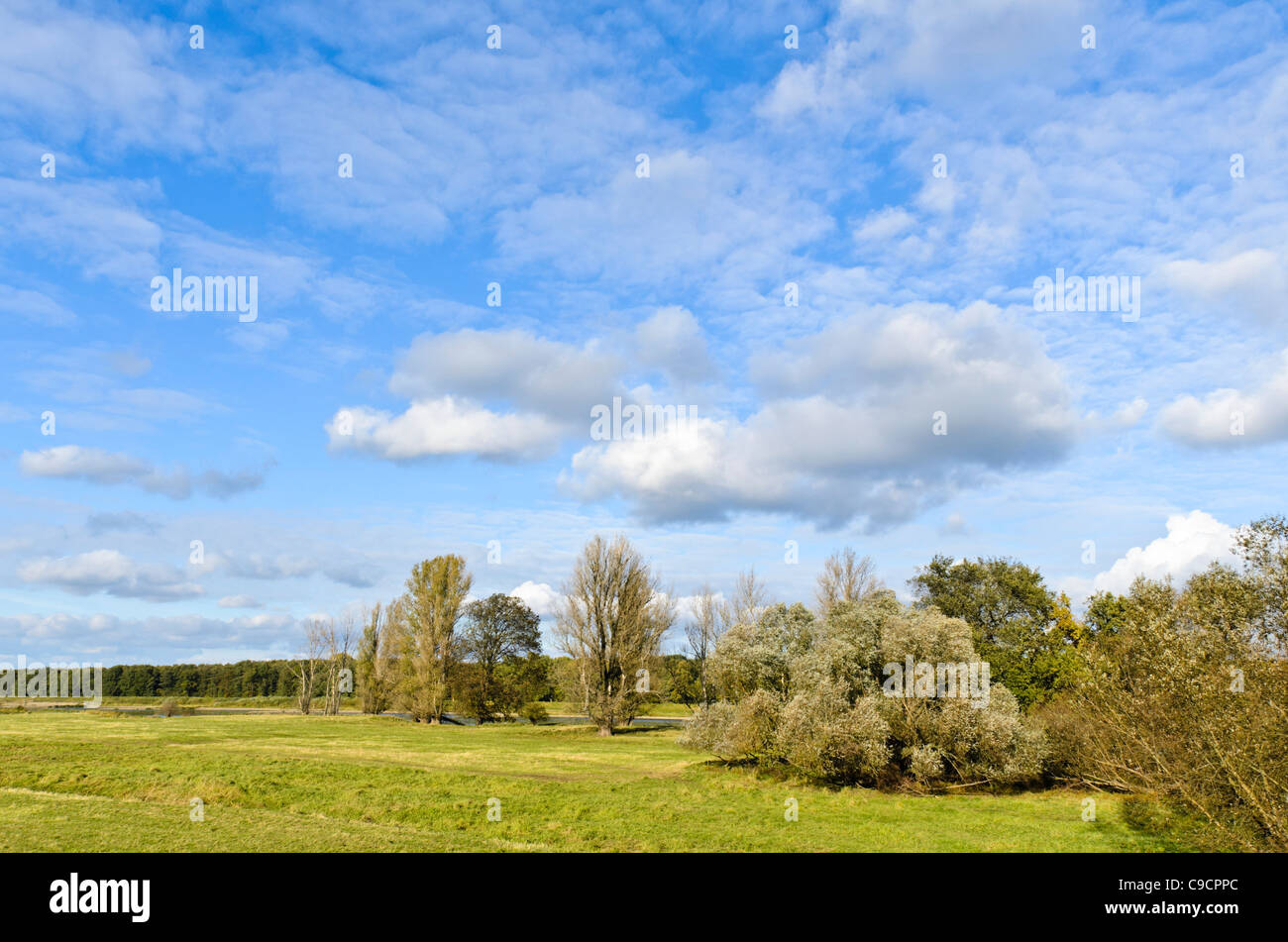 Alluvial Landschaft, oderwiesen Nature Reserve, Frankfurt/Oder, Deutschland Stockfoto