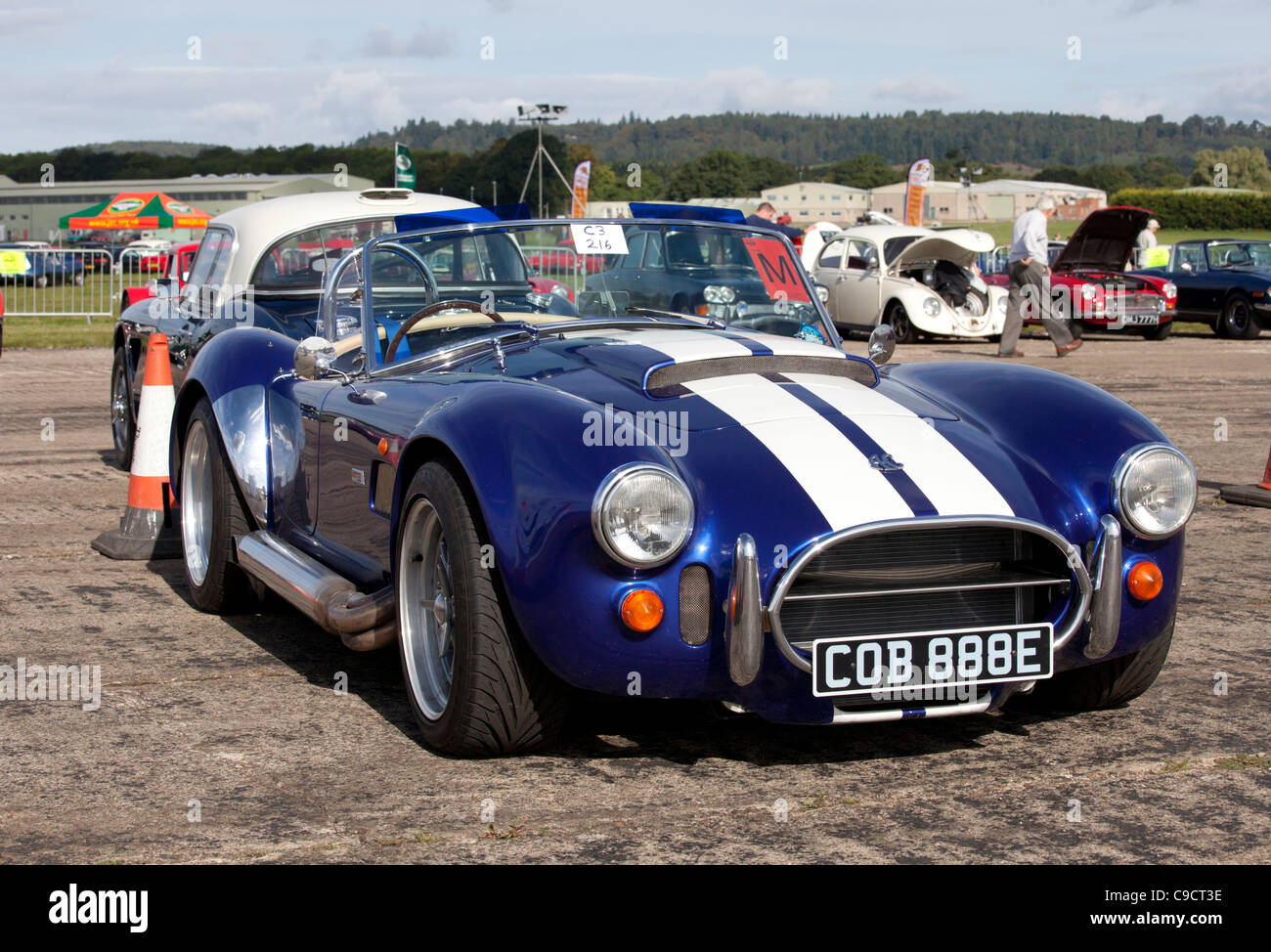 Ac cobra Stockfoto
