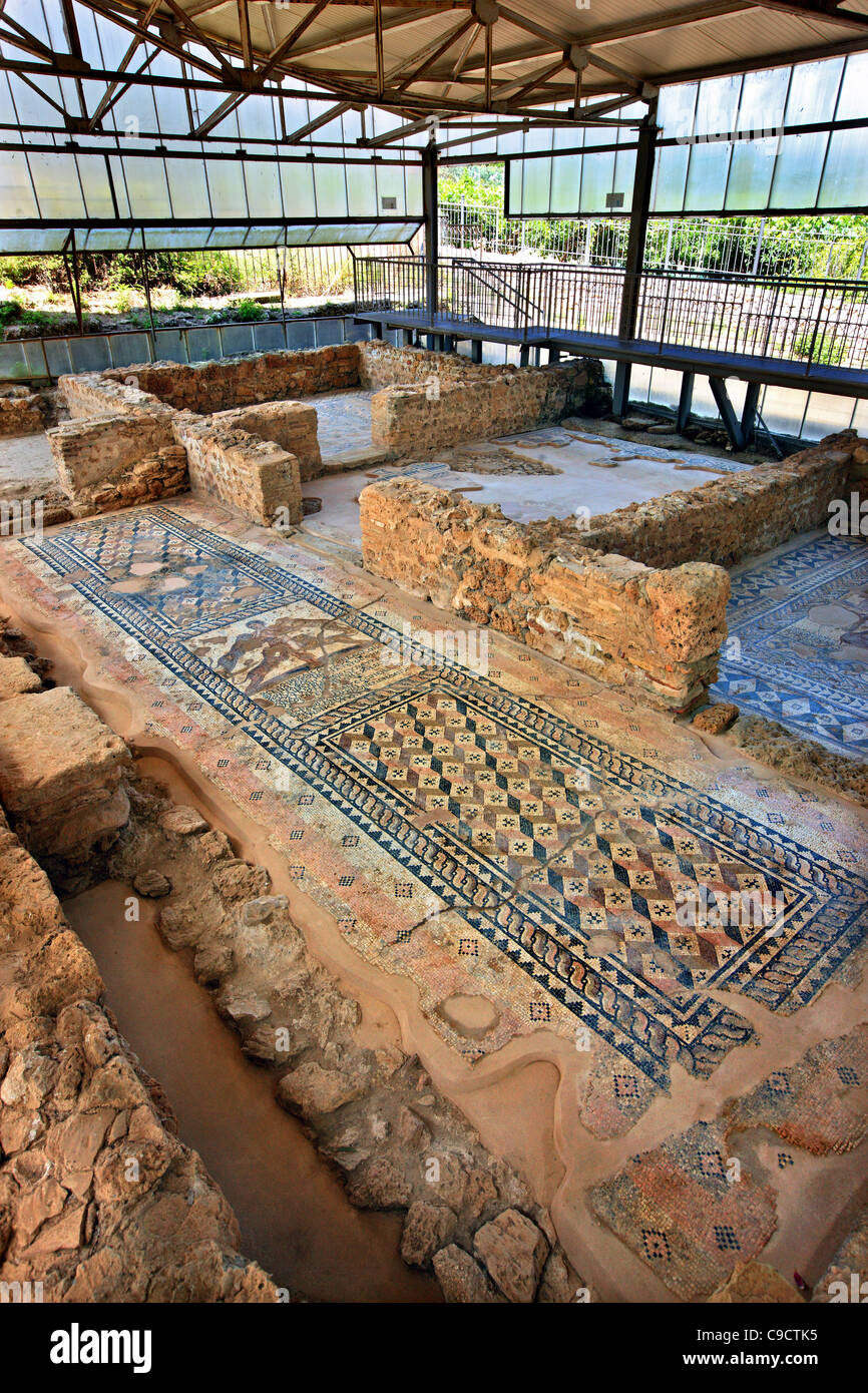 Schönen Mosaik in den Ruinen einer römischen Villa im Dorf Skala, Kefalonia Insel, Ionisches Meer, Griechenland Stockfoto