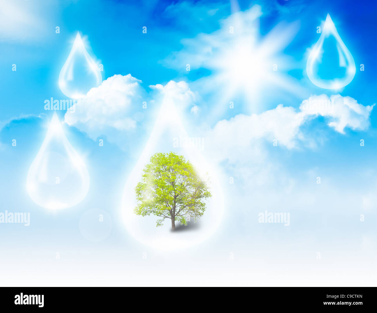 Baum im Wassertropfen auf Himmelshintergrund. Eco-Konzept Stockfoto