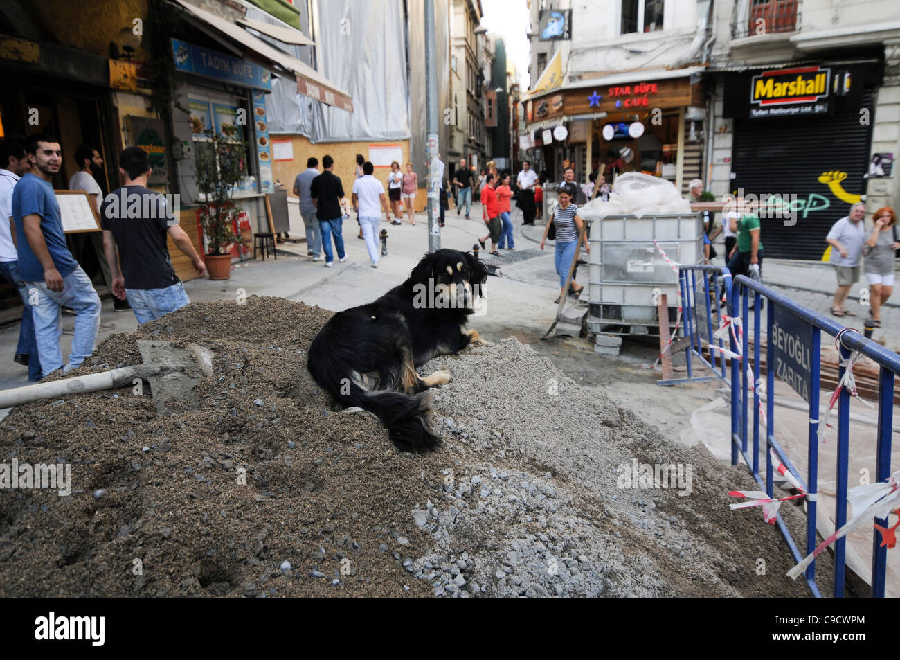 Ein Mischling Hund ruht in einem Haufen von Zement in einer Bauzone im Stadtteil Beyoglu, Istanbul, Türkei. Stockfoto