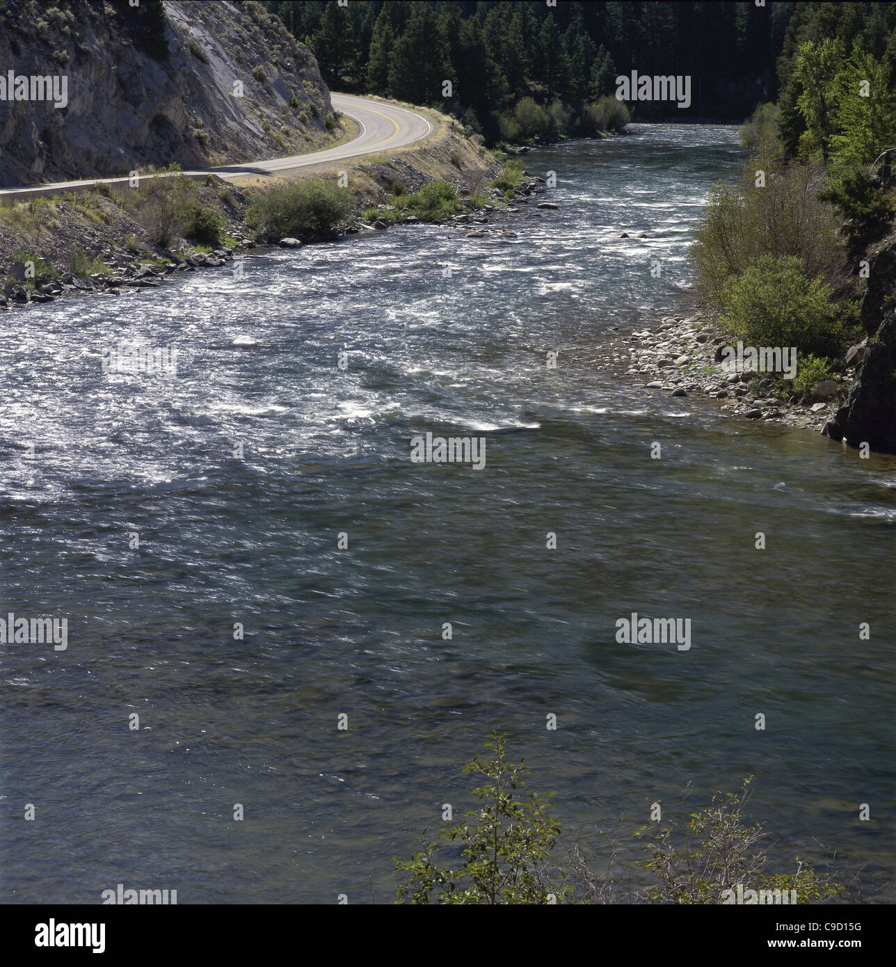 Wasser fließt am Salmon River, Idaho, USA Stockfoto
