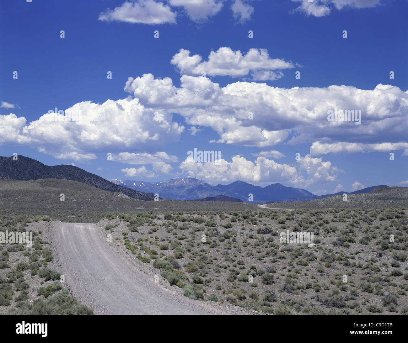 Kurvenreiche Straße durch die Landschaft, Kalifornien, USA Stockfoto