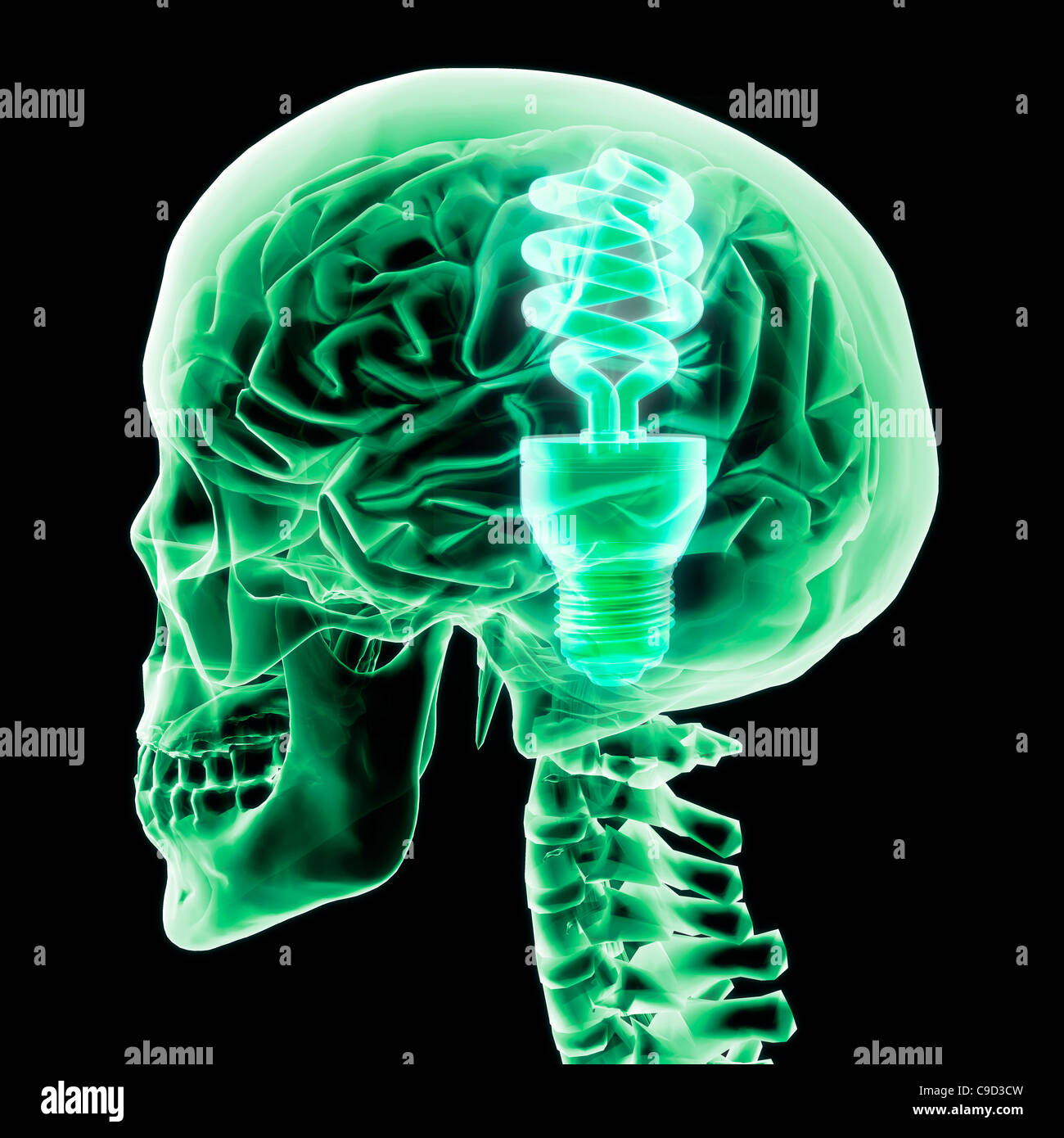Gehirn mit Grün Glühbirne II, Digital erzeugte Bild von Hank Grebe Stockfoto