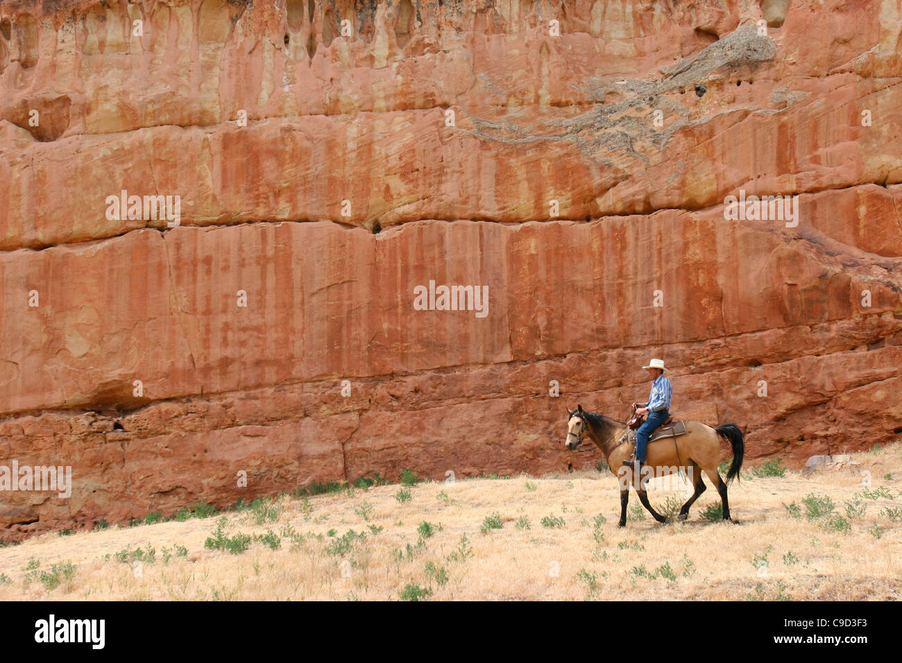 USA, Wyoming, Hyattville, Pferd Reiter entlang der Felswand im Medicine Lodge State archäologischen Park Stockfoto
