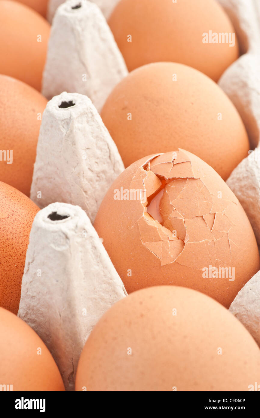 Nahaufnahme von braunen Eiern, einer gebrochen Stockfoto