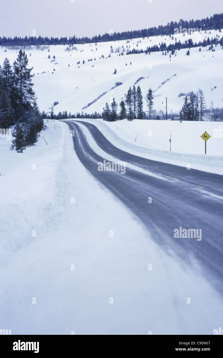 Weg durch den Schnee bedeckt Landschaft, Sun Valley, Idaho, USA Stockfoto