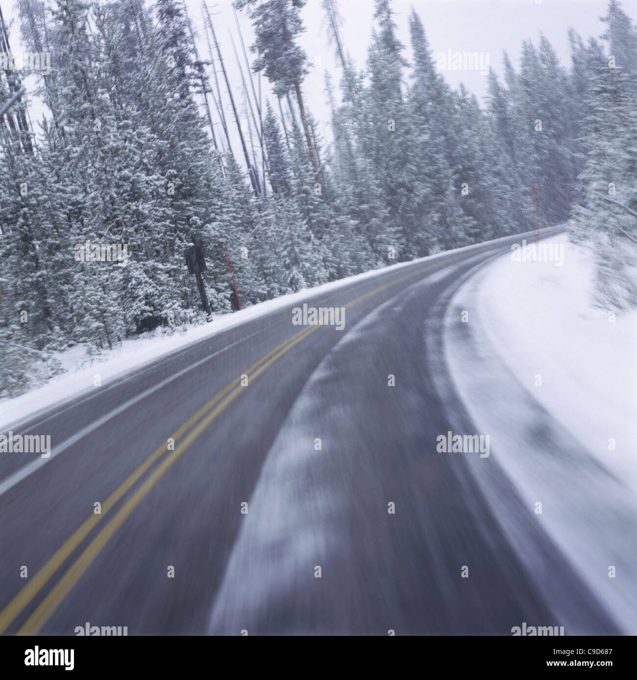 Straße, die durch eine Landschaft, Wyoming, USA Stockfoto