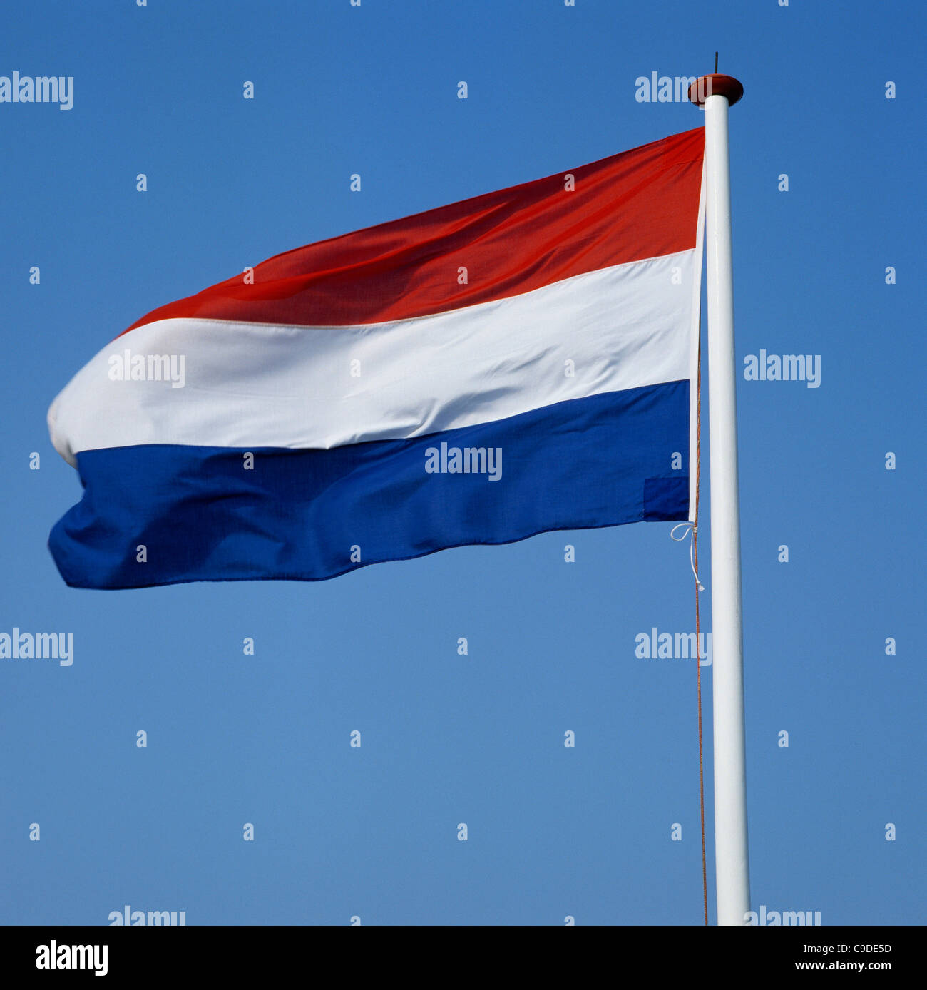 Niedrigen Winkel Ansicht der niederländischen Flagge Stockfoto