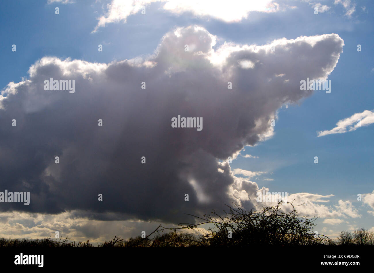 Cloud-wie ein Tier - dieser sieht aus wie eine Ratte! Stockfoto