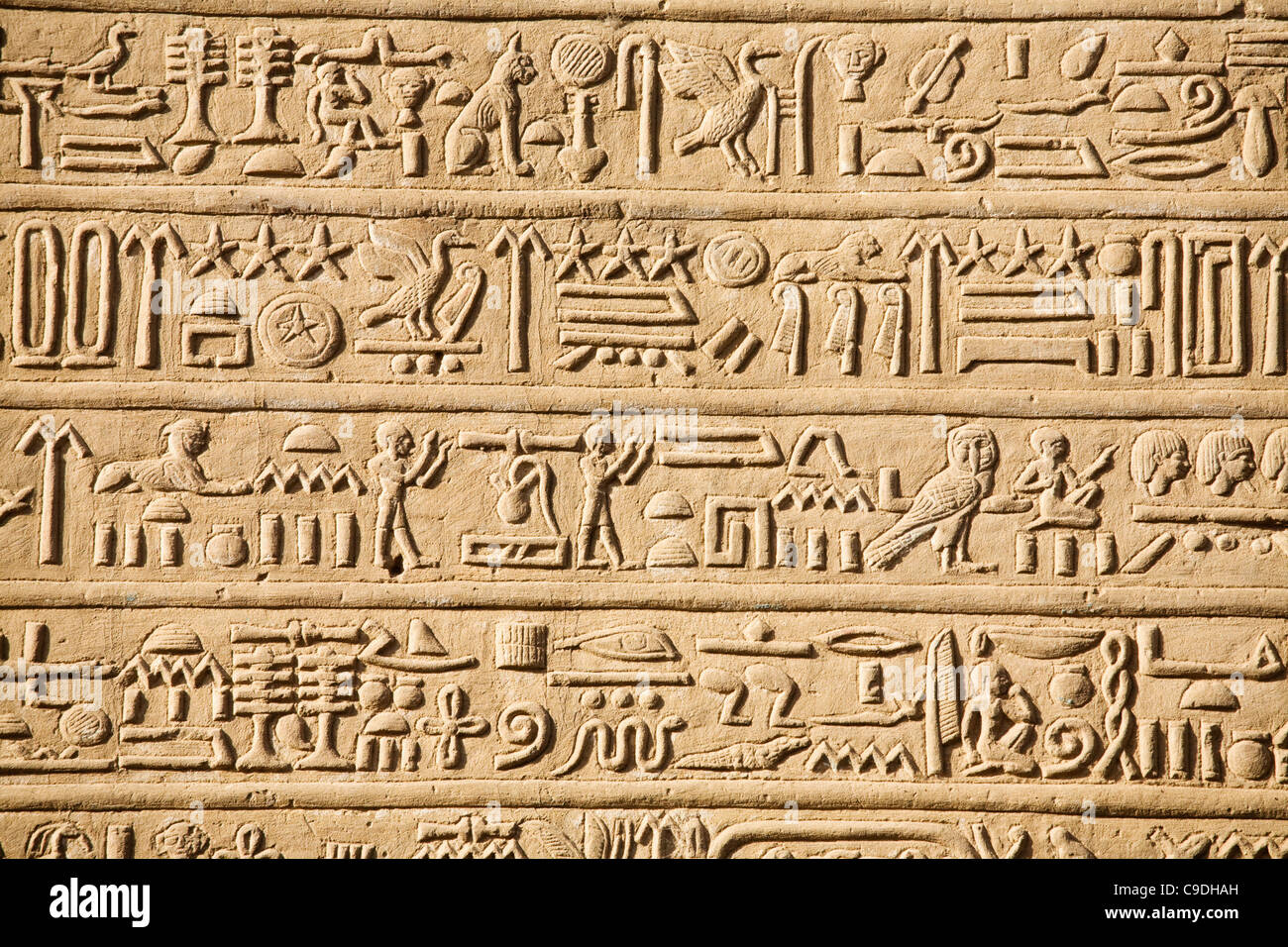 Ägypten, geschnitzten Hieroglyphen in Wand der Tempel des Horus und Sobek an antiken Ruinen von Kom Ombo am Nil Stockfoto