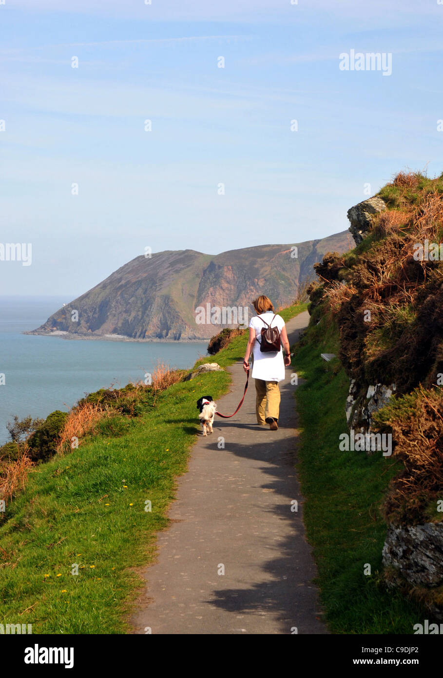 Dogwalker, North Devon. Großbritannien, UK Stockfoto