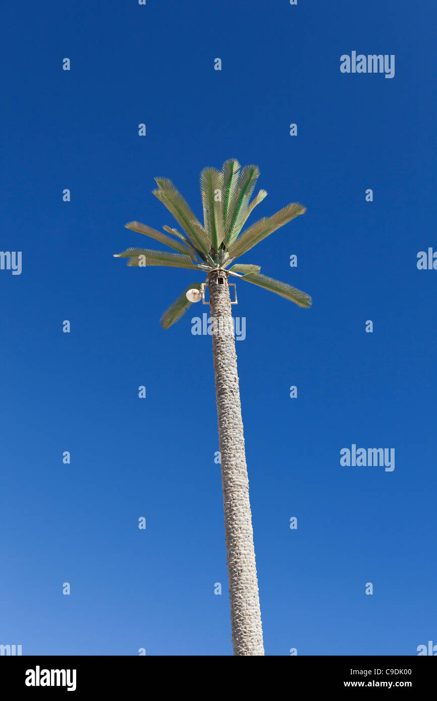Ein Handy-Mast gemacht auszusehen wie eine Palme in Ägypten Stockfoto