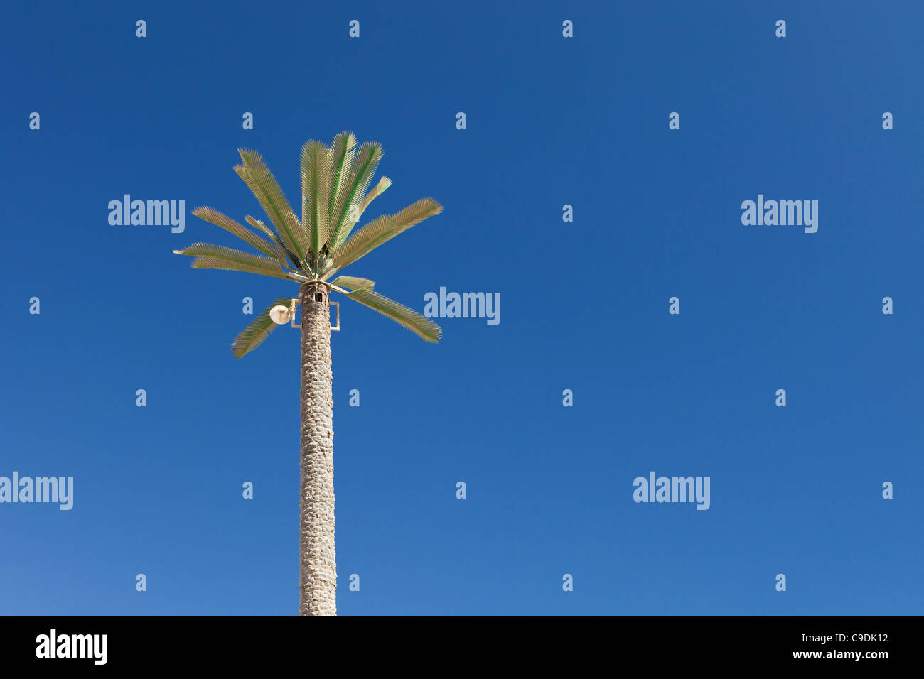 Ein Handy-Mast verborgen als eine Palme in Ägypten Stockfoto